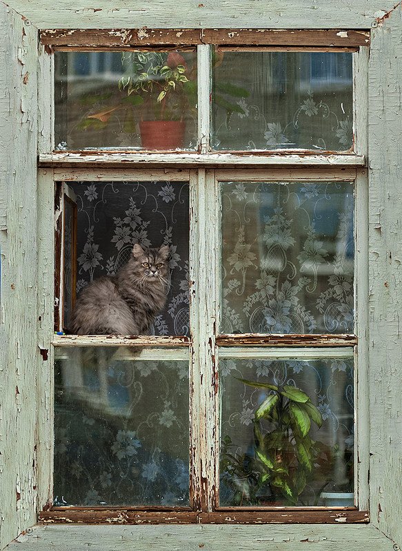 Окноphoto preview