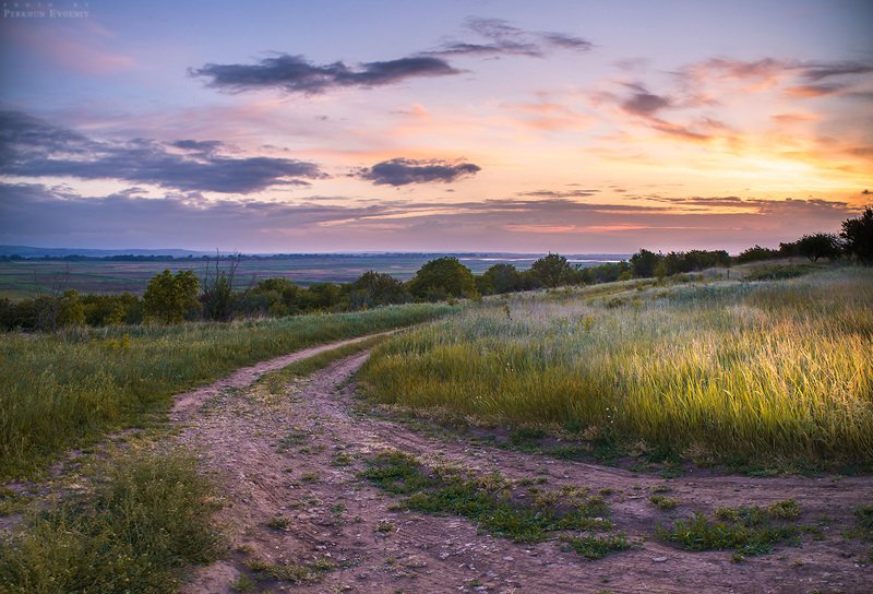 вечер, закат, трава, небо, пейзаж, темрюк, облака Вечерелоphoto preview