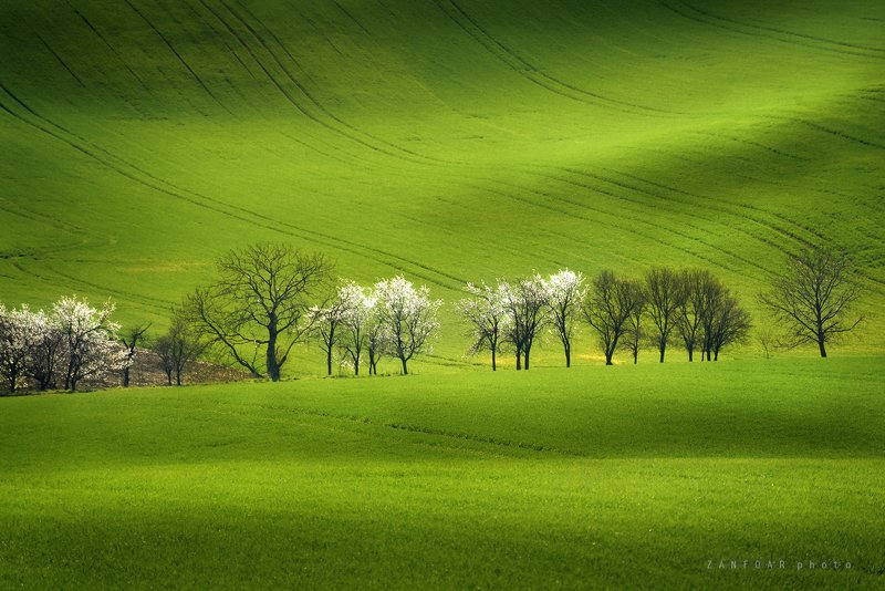 моравская тоскана,moravian tuscany,zanfoar,czechia,чехия,nikon d750 Моравская Тосканаphoto preview