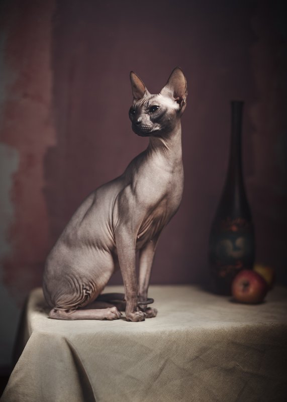 Натюрморт с Сфинксом и яблокомphoto preview