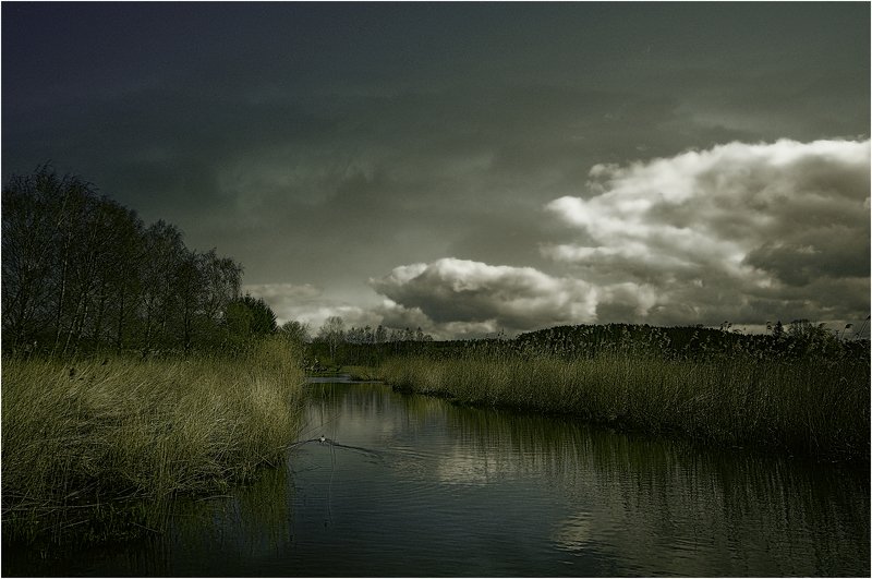 Речушка Ланга.photo preview