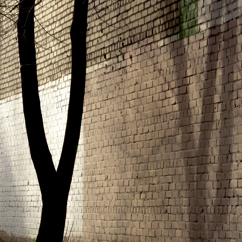 Наединеphoto preview