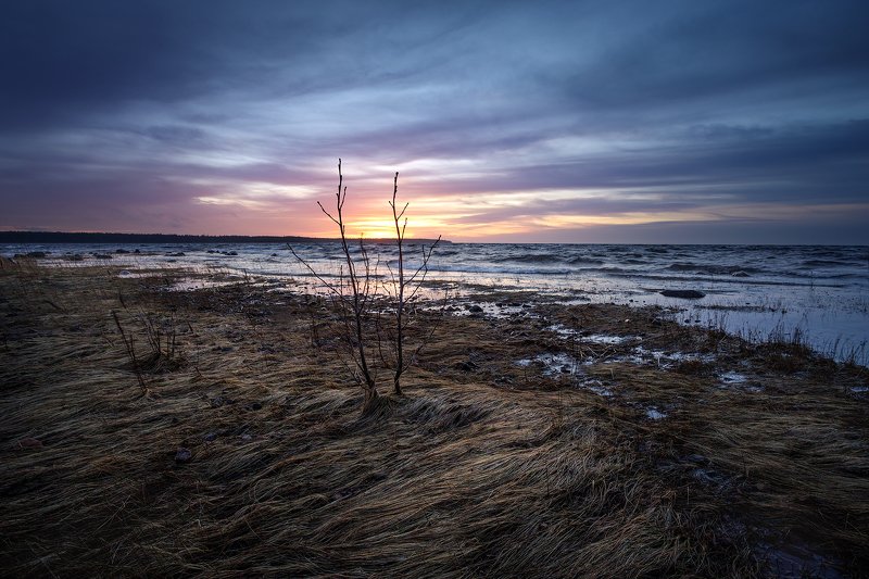 Финский залив.photo preview