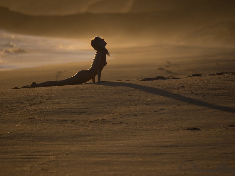 female, woman, nude where have those summer sunsets gone?photo preview