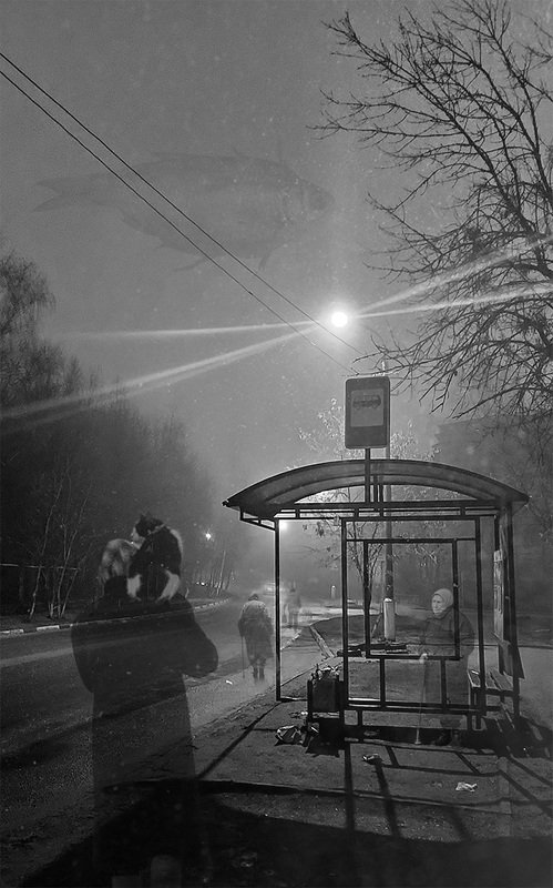 Пока город спит...photo preview