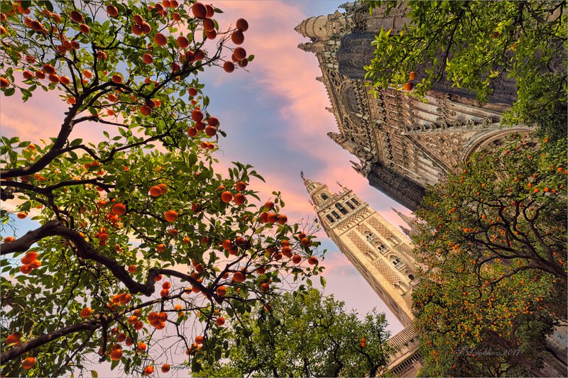 церковь, испания, севилья, небо, сад Краски Севильиphoto preview