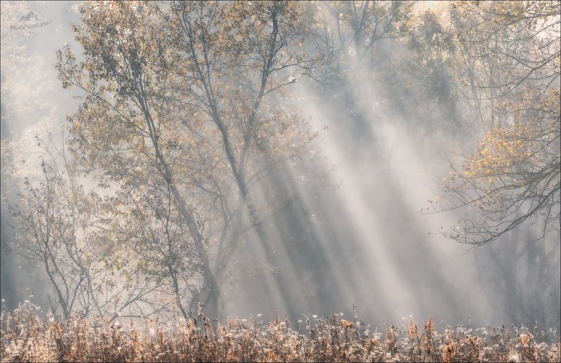 карпаты, осень, утро, закарпатье, beautiful карпати, мертвий півень, межгорье, синевир, ясиня, лазещина, изки Beautiful Карпатиphoto preview
