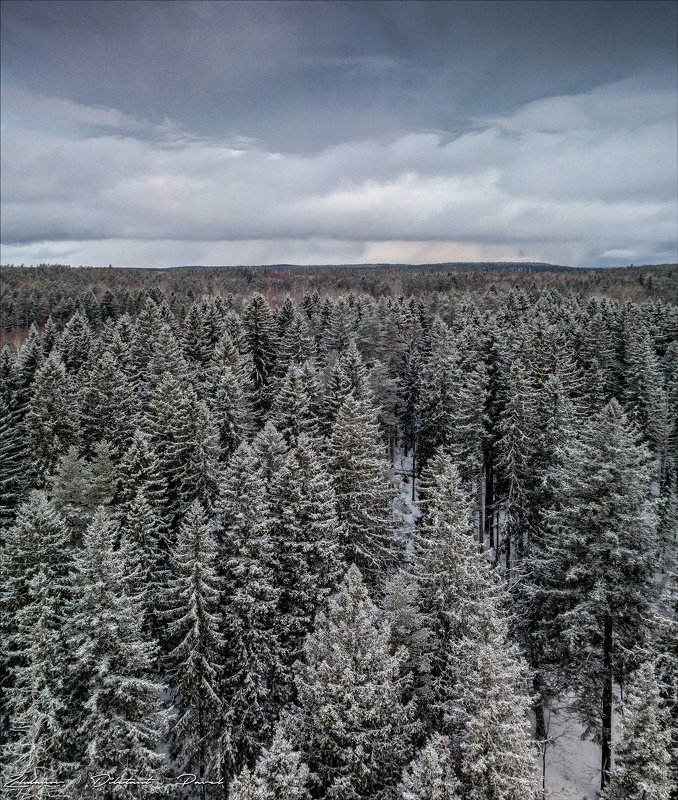 На верхушках Зимы.photo preview