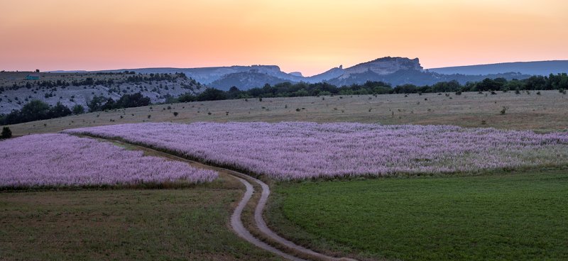 июльphoto preview