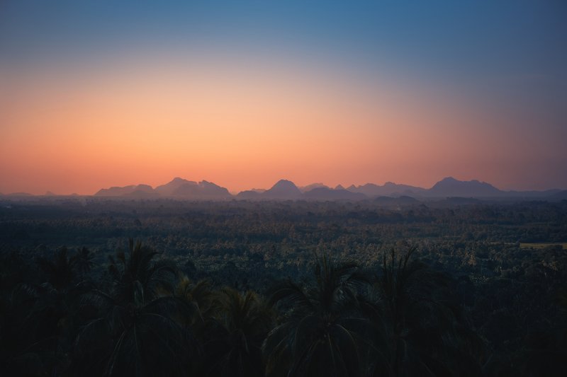 The Whole World Has Stood Stillphoto preview