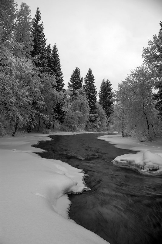 карелия Река  и ёлкиphoto preview