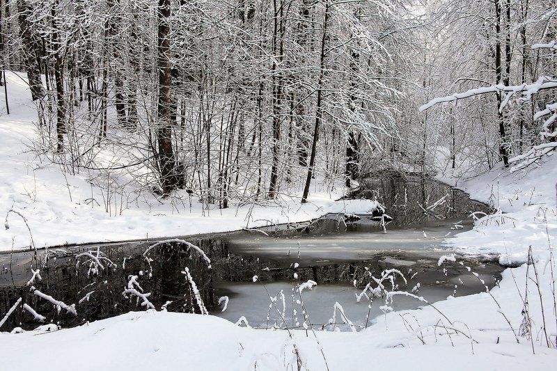 ...последний снег.... фото превью