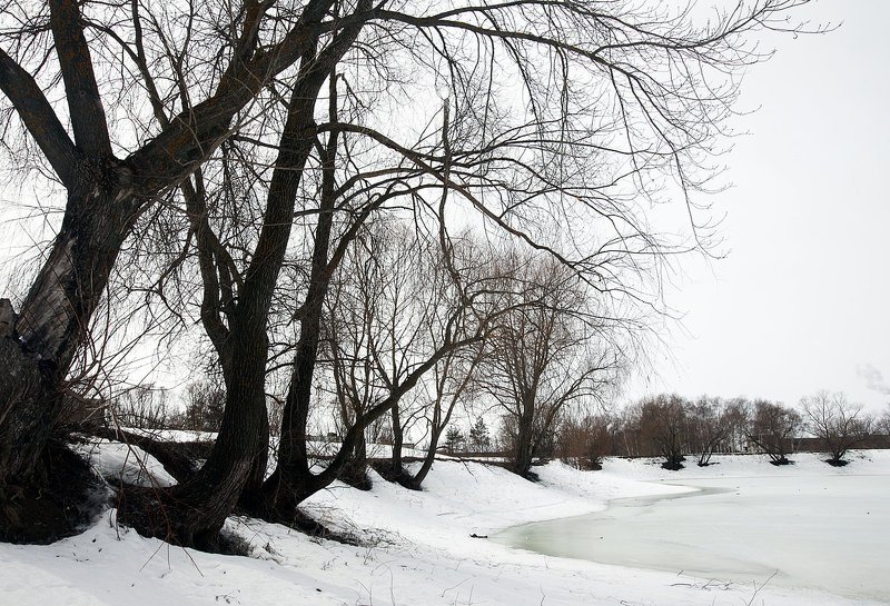 ...последний снег-2.... фото превью