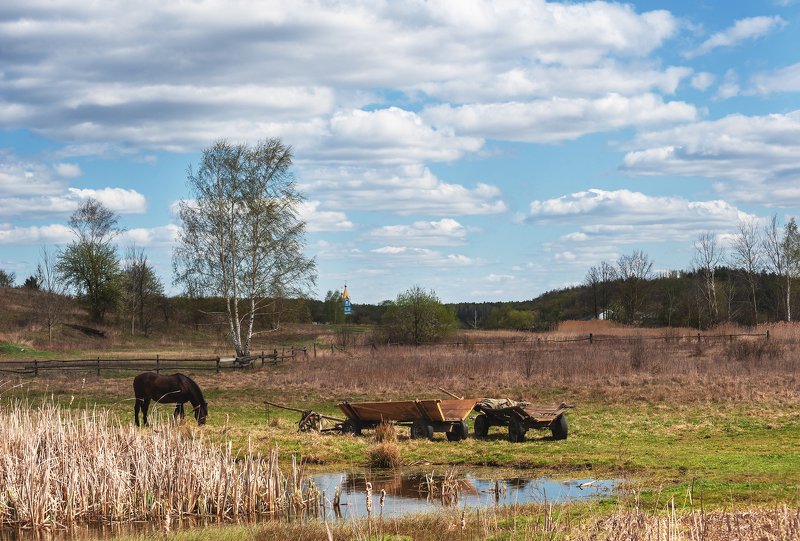 Благодать....photo preview