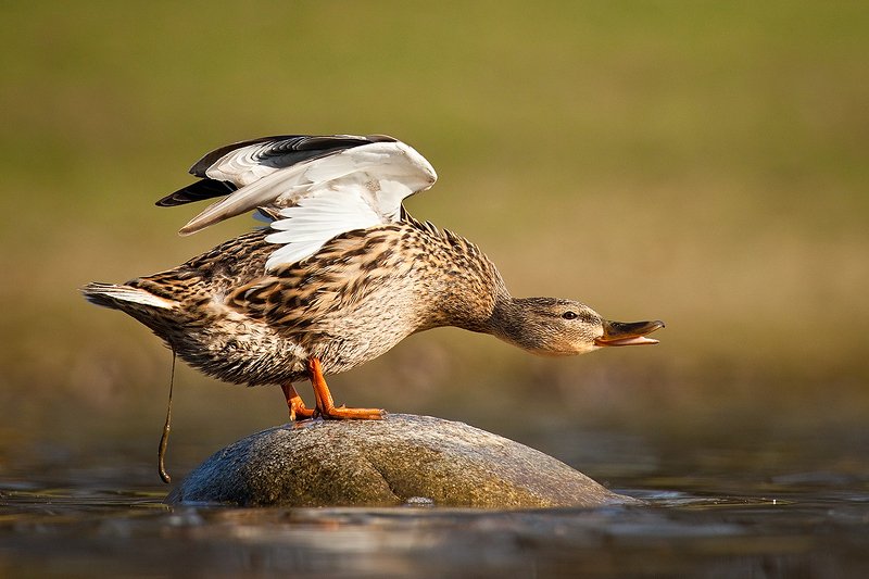 В туалетеphoto preview