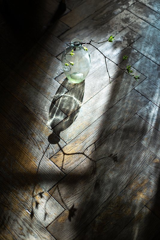 Сооолнце взойдетphoto preview