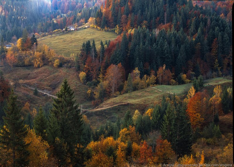 hut, carpathians, carpathian mountains, pasture, countryside, picturesque, mood, tranquil, houses, wooden, rural, mountains, foliage, wonderland, land, meadow, field, scenic, tourism, season, house, autumn, mountain, landscape, fall, background, beautiful Village Houses and autumn foliage trees in the mountains. Meadow and forest in the carpathian mountains Fuji Veivia film, expired in 2005photo preview