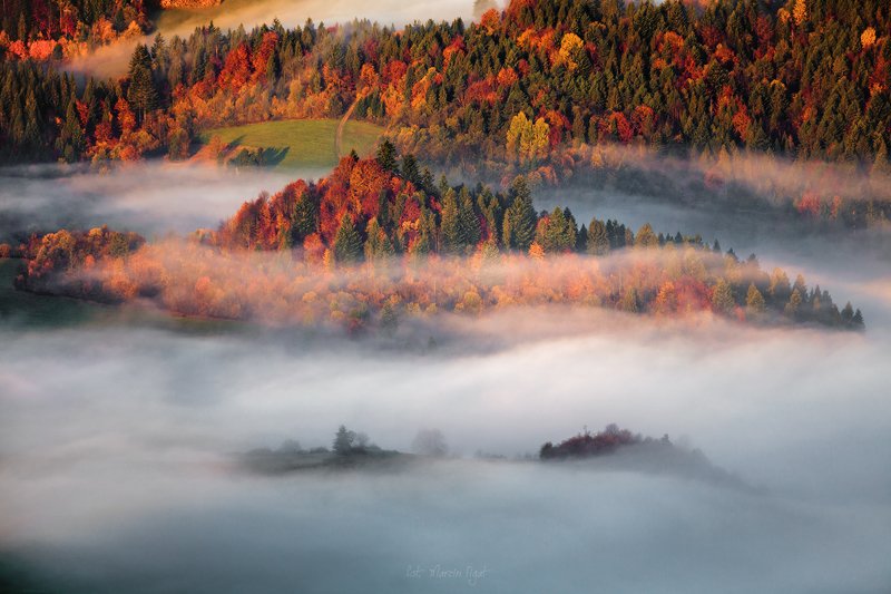 Shrouded in fog. фото превью