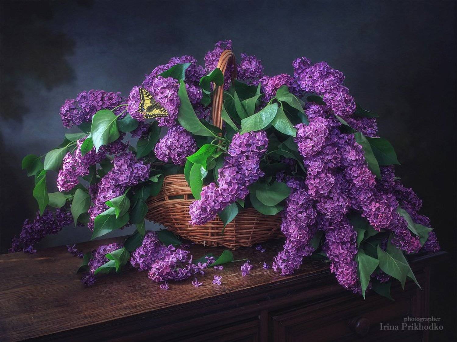 И вновь цветет сирень. Автор: Ирина Приходько натюрморт, цветочный, винтажный, сирень, букет, весна, Ирина Приходько