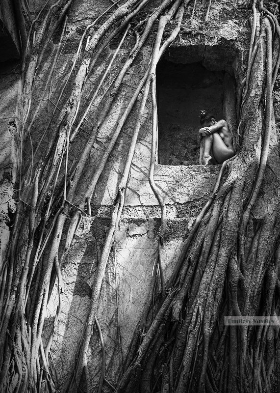 art_vavilov сны сиренphoto preview