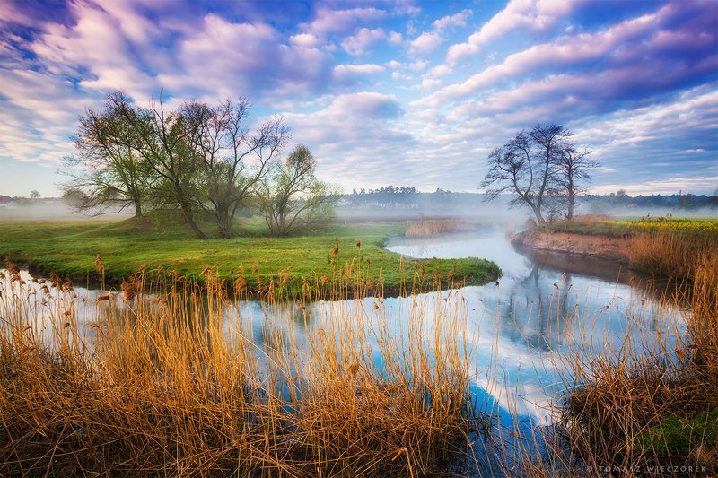 poland, polish, landscape, sunrise, sunset, colours, awesome, amazing, adventure, travel, beautiful, morning, light, river, village, fog, mist, clouds, sky Morning on the riverphoto preview