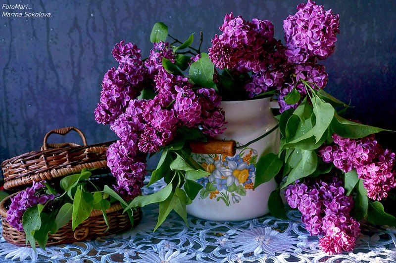 Аромат сирени...photo preview