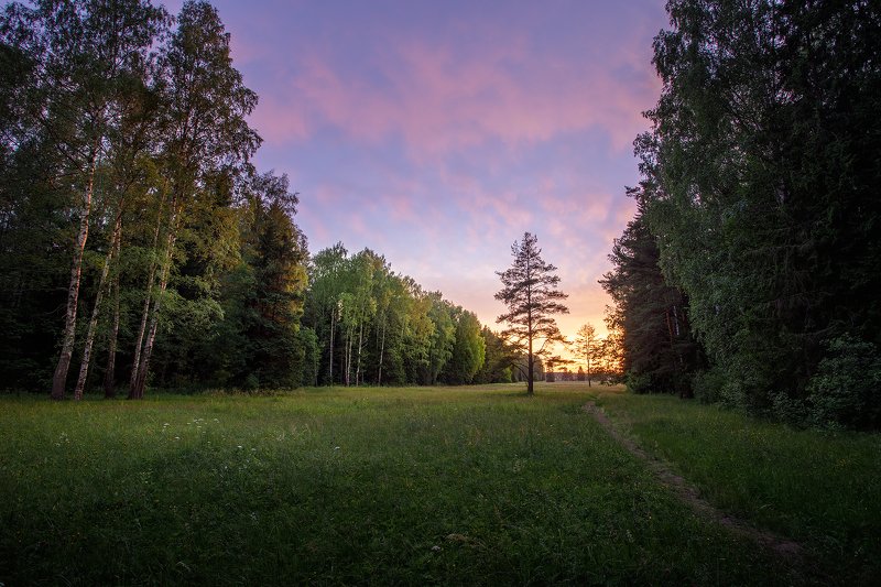 Вечер в Павловском парке.photo preview