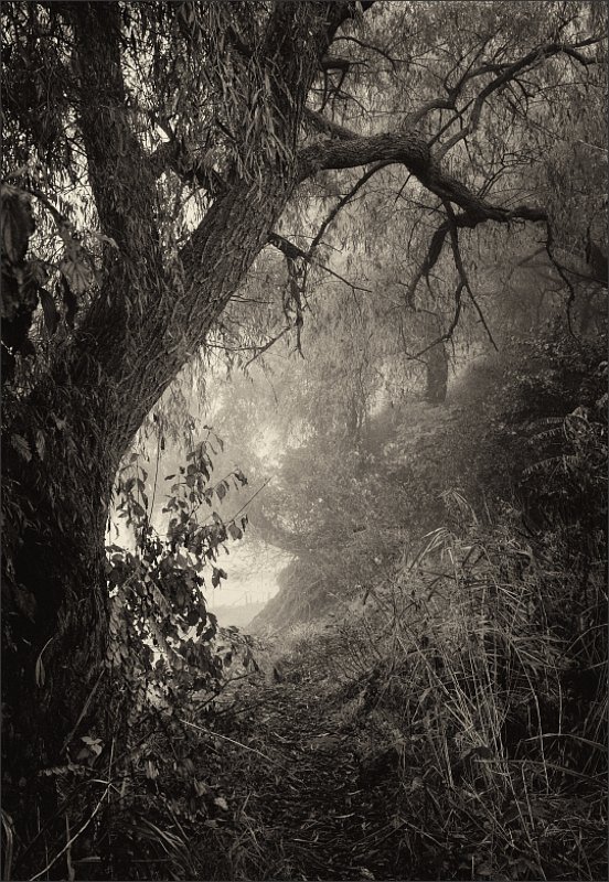 Ноябрьphoto preview