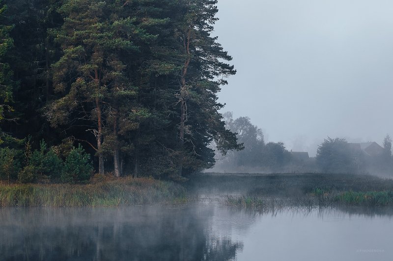 утро туман остров ###photo preview