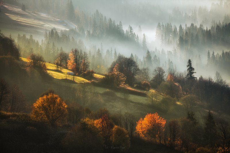 Somewhere on a trip. фото превью