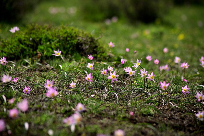 южный урал,оренбургская область, орск, новотроицк, Весеннее Настроение!!! фото превью