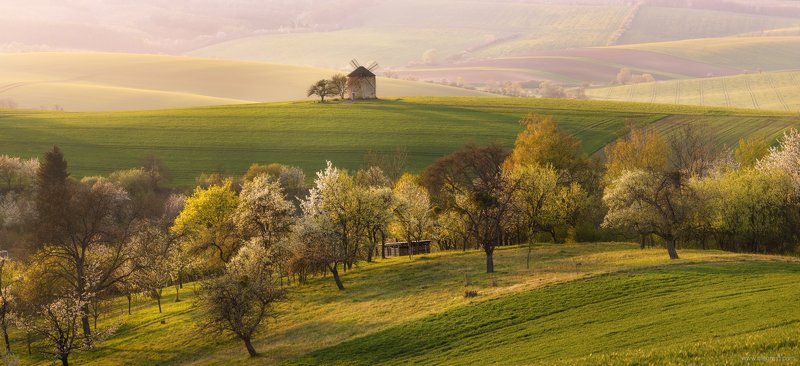 Весенняя Моравияphoto preview