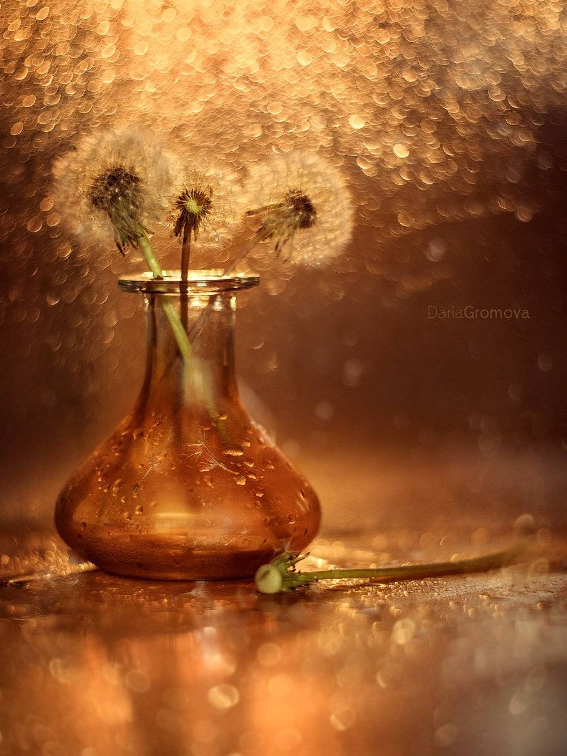 , Дарья Громова