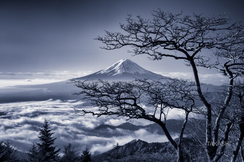 Fuji,Japan,mountain,clouds,tree,bonsai,snow,blue The spirit of the treephoto preview