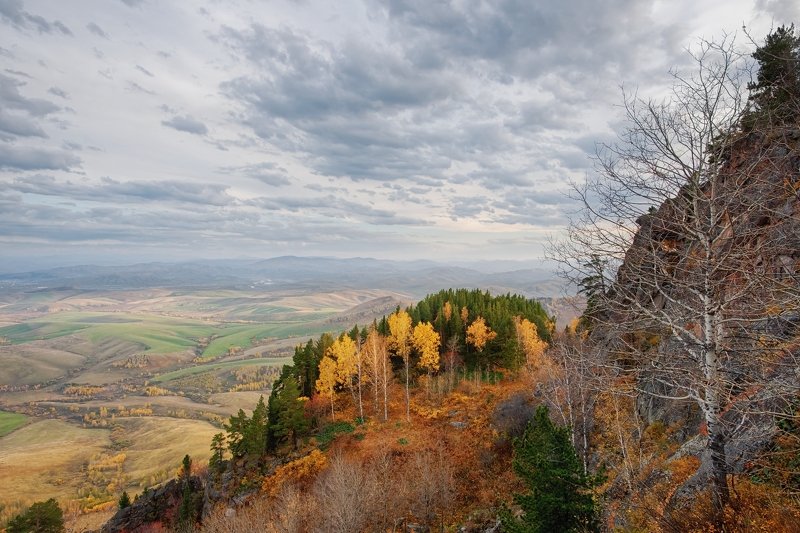 горный, алтай, бабырган Предгорья Алтаяphoto preview