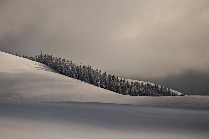 winter, trees, blizzard, snow, landscape, travel, nature, mountain, romania, cold, sunset Oasisphoto preview