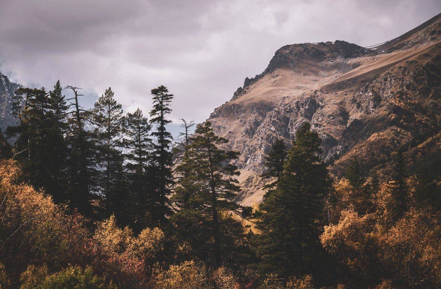 autumn mountains forest spruce landscape nature, Егор Бугримов