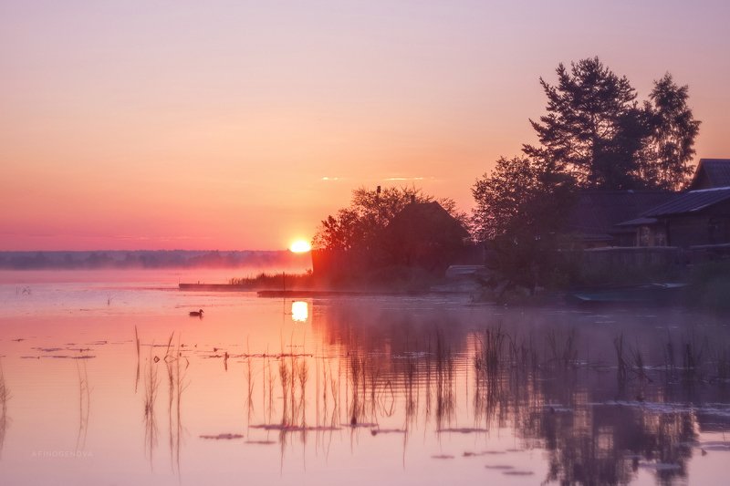 рассвет утро солнце река утка Рассветный часphoto preview