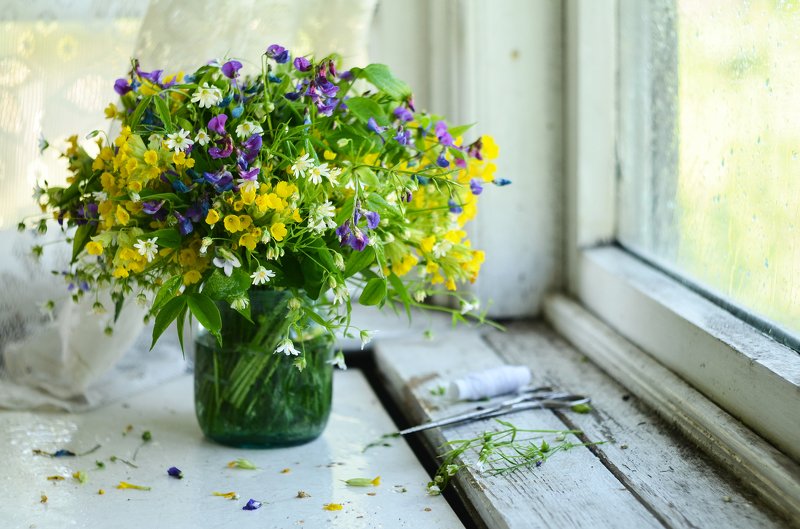 spring; spring flower; lifestyle Первоцветыphoto preview