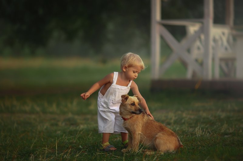 Друзьяphoto preview