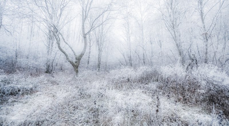 Холодокphoto preview