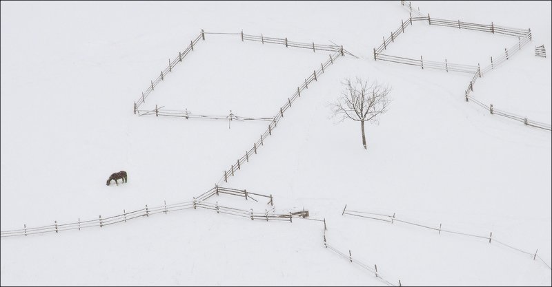 минимализм winter minimaliztphoto preview