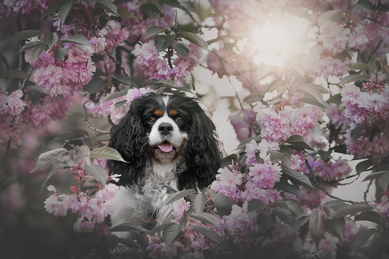 Первoмайphoto preview