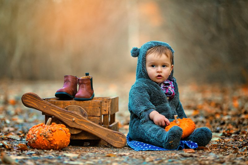 The Pilotphoto preview