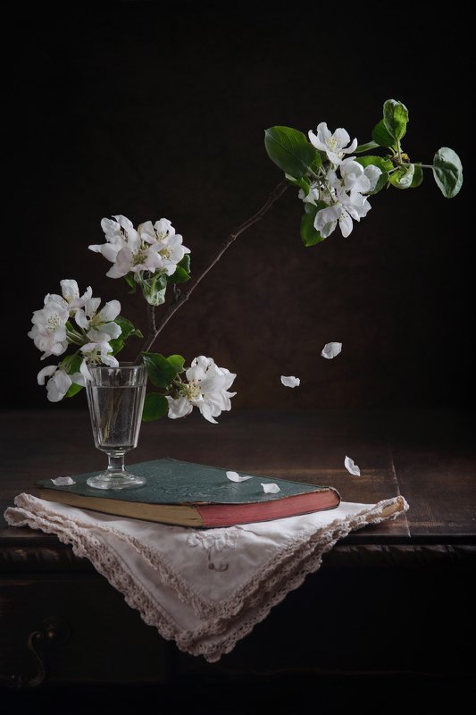 Цвет яблониphoto preview