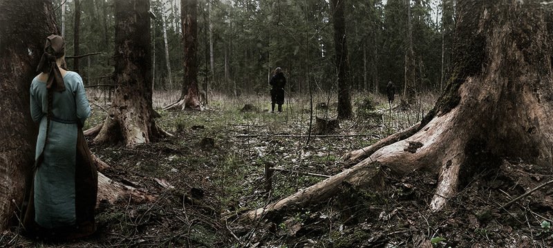 Загадки леса...photo preview