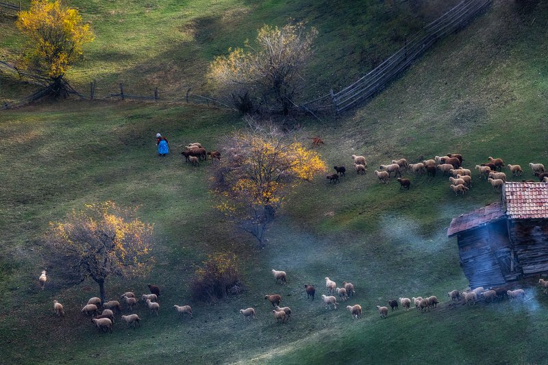 Осень в Болгарииphoto preview