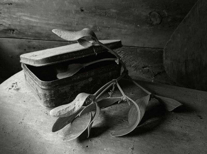 Этюд с коробкой и омелойphoto preview