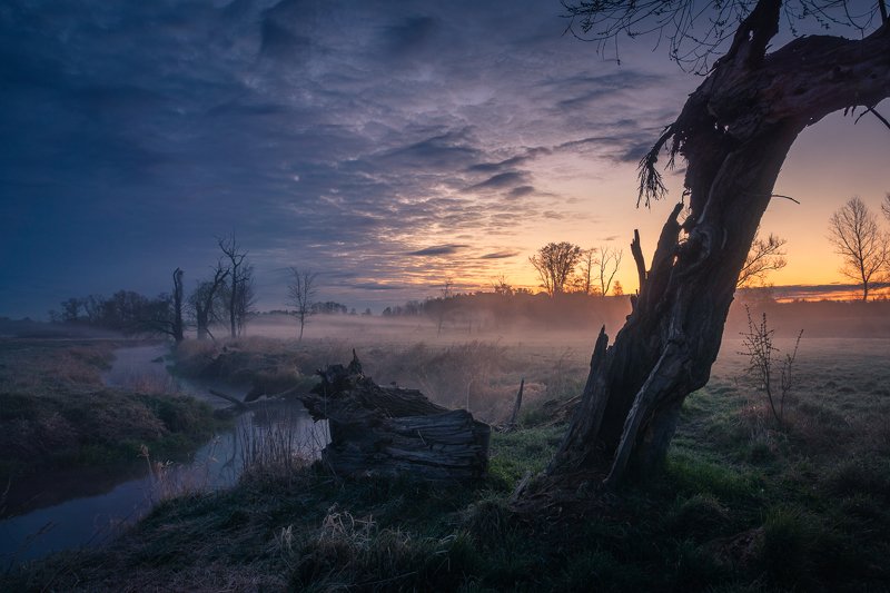 dawn, landscape, nature, river, foggy, sunrise, jeziorka,  Morning in the Jeziorka valleyphoto preview