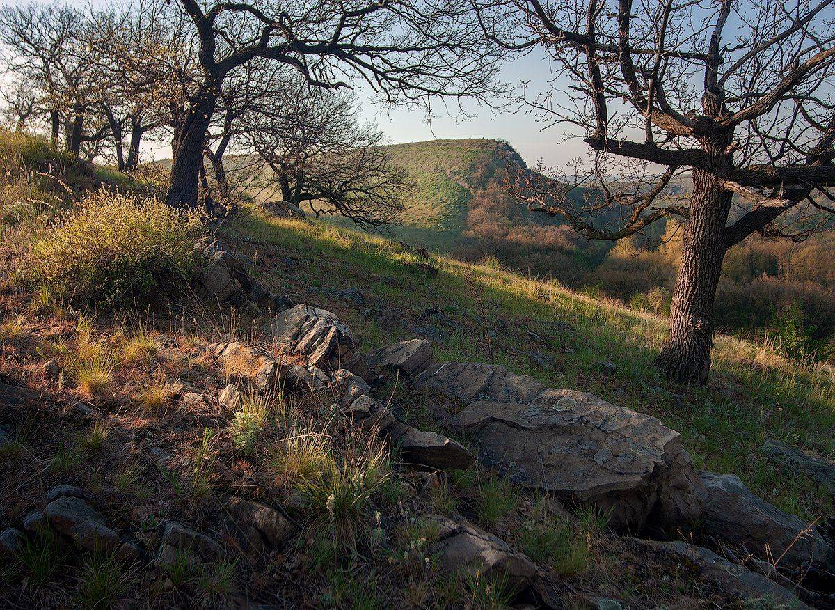 нагольный кряж,именно его а.п.чехов упоминал в своем произведении, Дитковский Евгений
